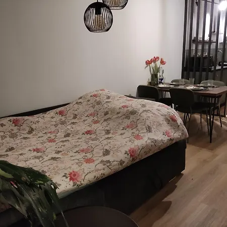 Bed & Breakfast Bergs Huuske Sint Odiliënberg
