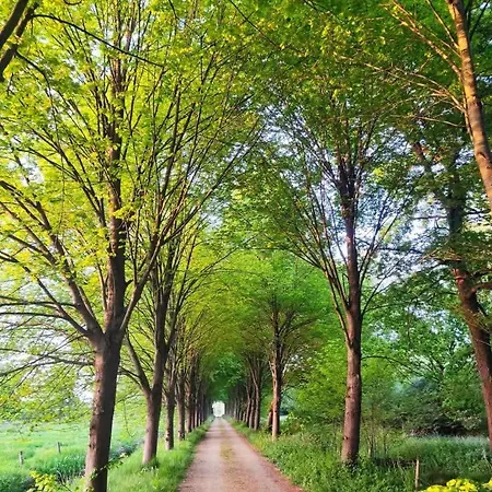 Bergs Huuske فندق مبيت وإفطار 3*