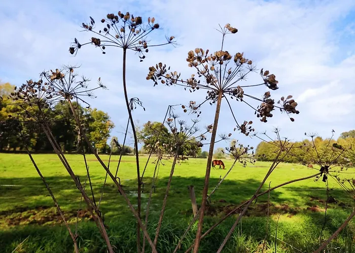 Bergs Huuske فندق مبيت وإفطار 3*