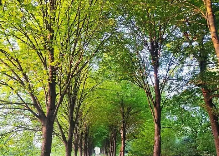 Bergs Huuske فندق مبيت وإفطار 3*