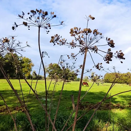 Bergs Huuske Bed & Breakfast 3*