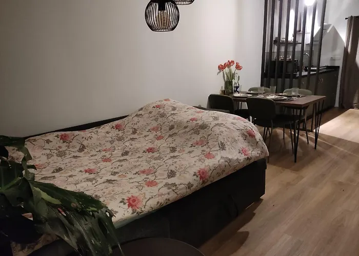 Bed & Breakfast Bergs Huuske Sint Odiliënberg